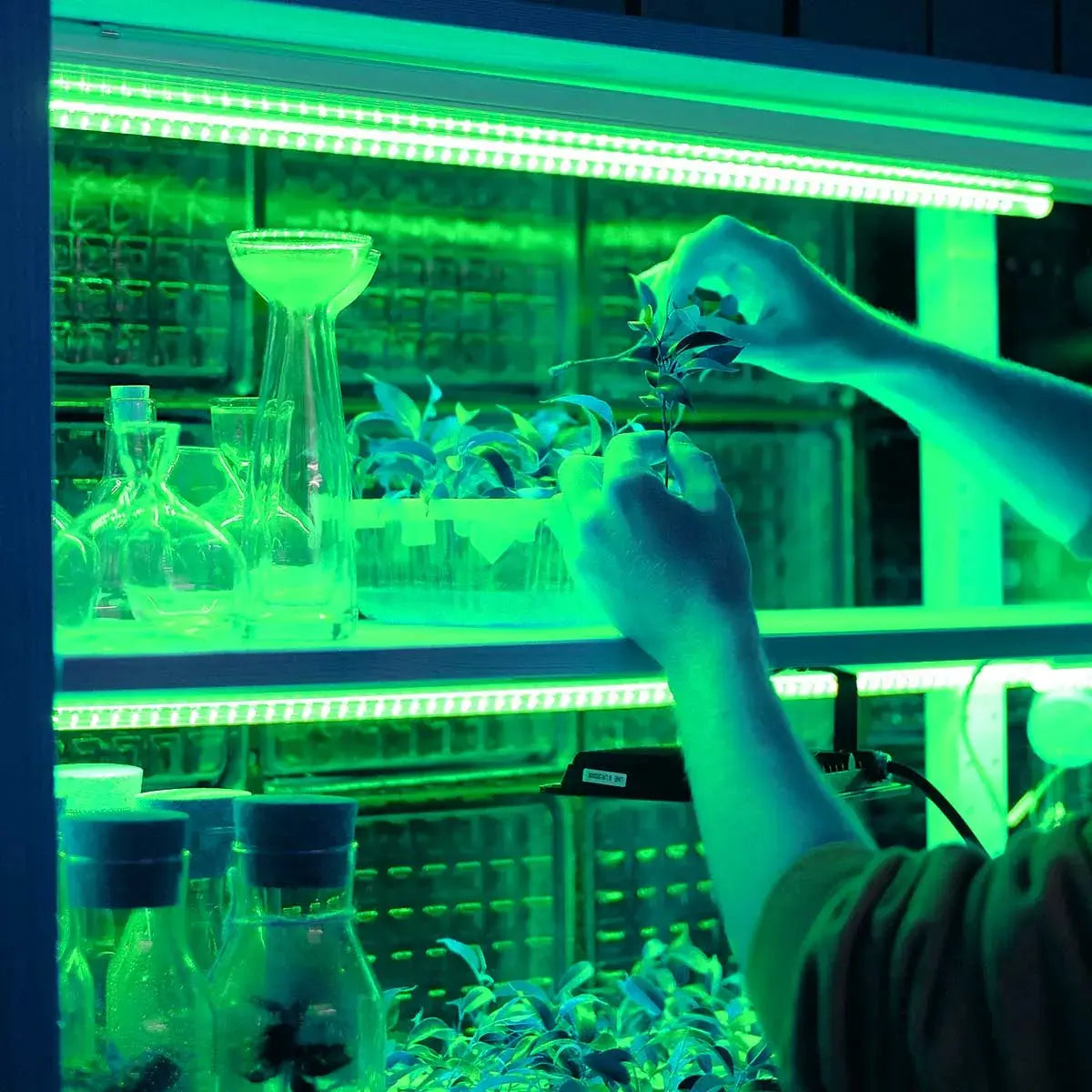 Bande LED RGB 5 mètres SMD5050 Pro-X 60LEDS/m IP65