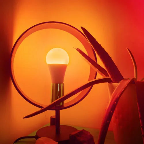 Lampe LED E27 WiFi 7W RVB+CCT