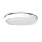 Smart Ceiling Lamps